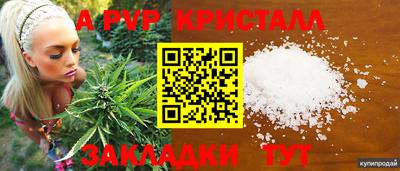 дживик Усть-Джегута