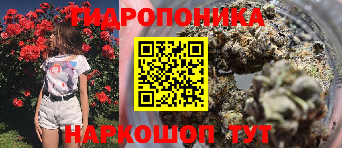 Алейск  Бошки Шишки THC 21%  Шишки марихуана гибрид  МАРИХУАНА конопля  Вход с VPN 